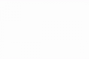 фильтрович