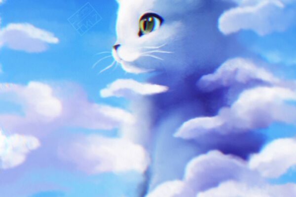 img4528820.png
