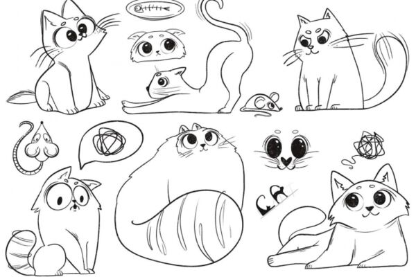 img4530741.png