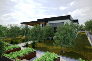 Дизайн проект дома