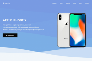 MolenLanding Page IPHONE X