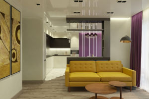 Living Room combined with Kitchen