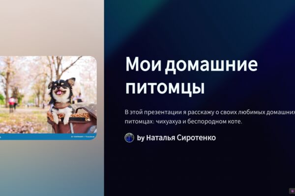 img4650282.png