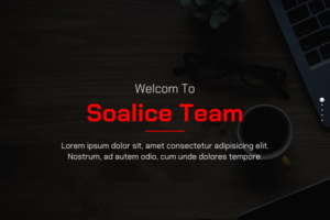 Team portfolio
