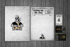 Папка, бланк, визитки