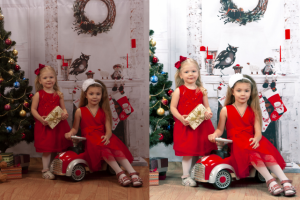 Работа 3995288