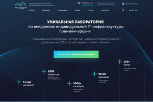 MySky - кастомизированные IT-решения для совершенных бизнес-проц