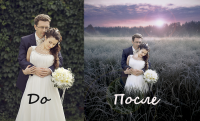 Свадьба - коллаж