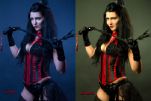 ретушь/цветкор