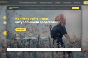 Landing page под ключ для центра Соколинского в Праге