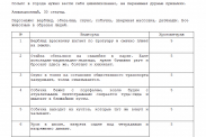 Видео. Социальная. Городская жизнь