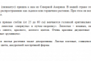 Описание для ИМ. Цветок