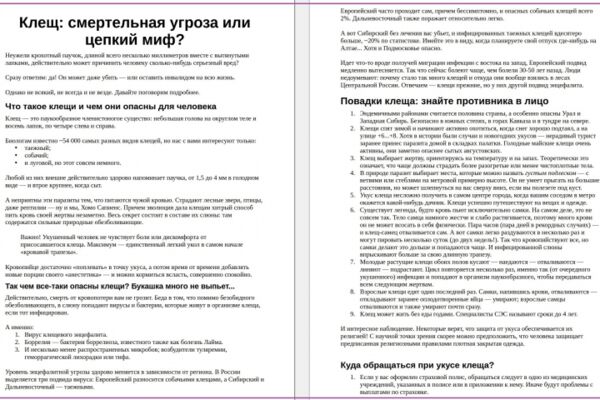 img4607975.png