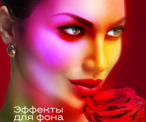 img4355115.png