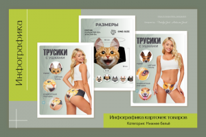 Инфографика нижнего белья