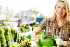 Работа 2388430