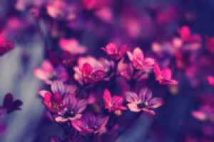 Работа 2388416