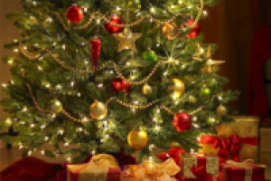 Работа 2388372