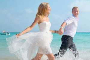 Работа 2388366