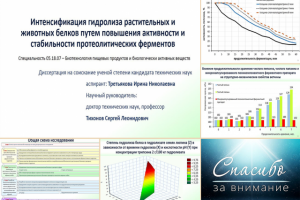 Презентация к защите диссертации