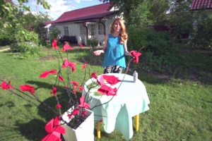 Редактирование фрагмента для TV