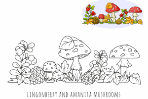 Мухоморы. Осенняя композиция. Раскраска для детей.