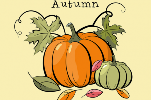 Тыква. Осенняя композиция.