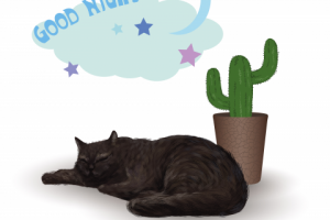 "Спокойной ночи"