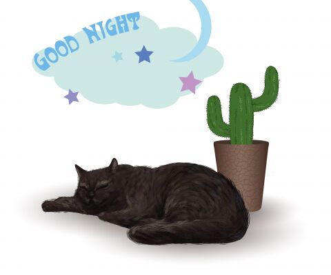 img4440029.png