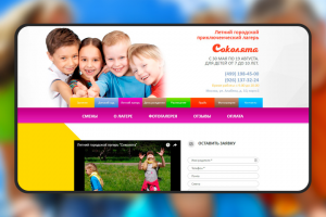 Летний лагерь - Соколята