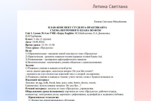 План-конспект урока по ФГОС