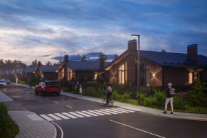 3D визуализация коттеджного посёлка