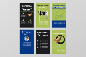 Дизайн историй для компании, занимающейся кормовыми добавками