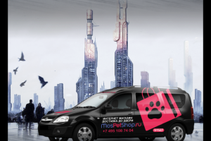 Брендирование автомобиля