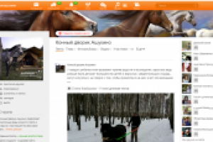 Реклама и ведение группы Конный дворик Ашукино