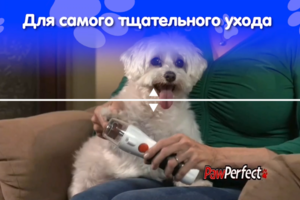 Замена текста