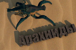 Более старая работа