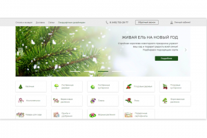 Вёрстка сайта