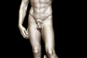 Давид, ракурс 2