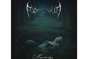 Исполнение партий ритм-гитары и бэк-вокала