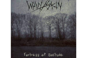 Исполнение партий гитары, баса, клавишных и вокала