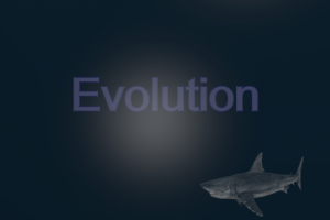 Интро для видео