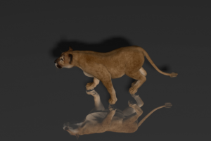 Львиная охота.