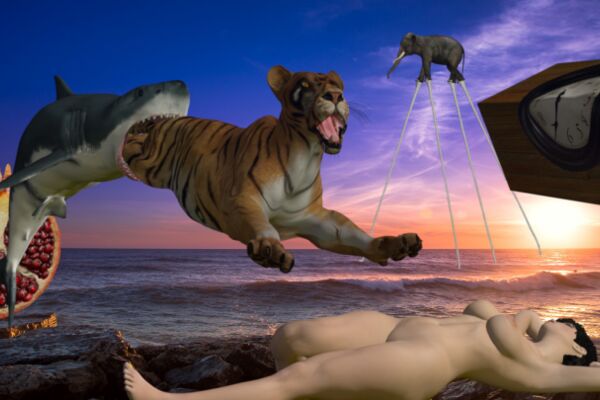 img3820219.png