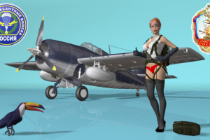 Реклама для общества ДОСААФ.