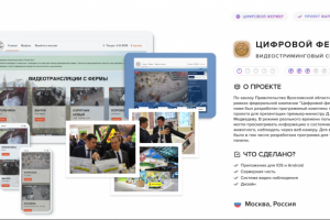 Видеостриминговый сервис для государственного проекта