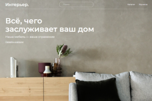 Online store website