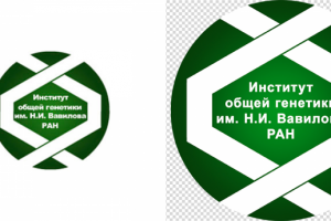 Логотип Института общей генетики им. Н.И.Вавилова РАН