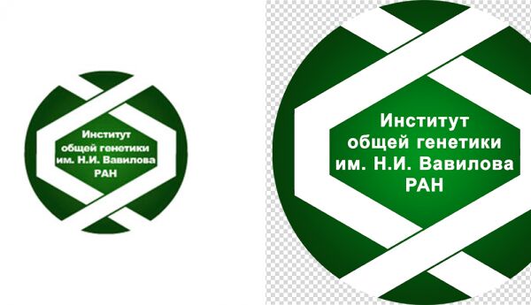 img4207488.png