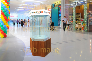 Моделирование витрины с фотопривязкой в Торговом центре